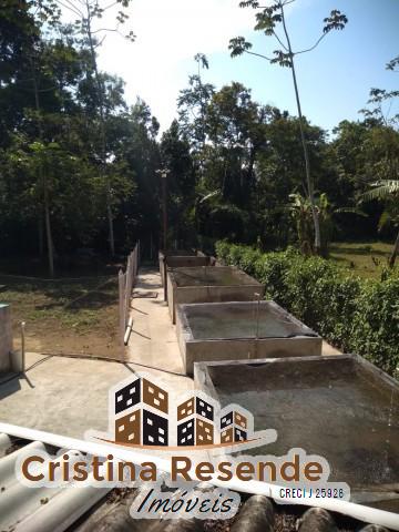 Chácara à venda com 3 quartos, 2000m² - Foto 8