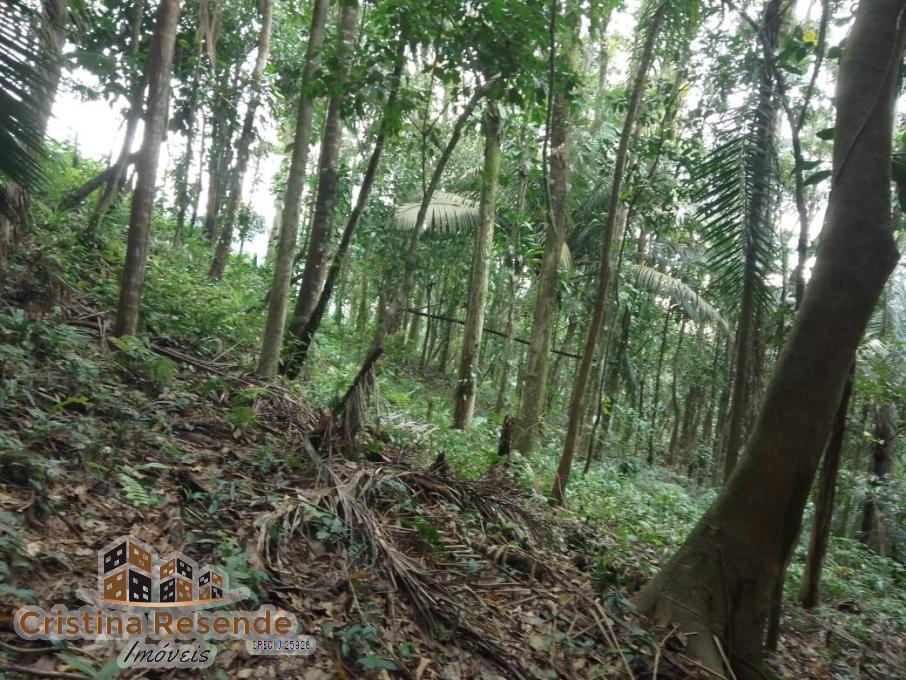 Terreno, 10 hectares - Foto 8