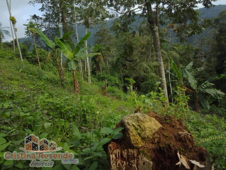 Terreno, 10 hectares - Foto 1