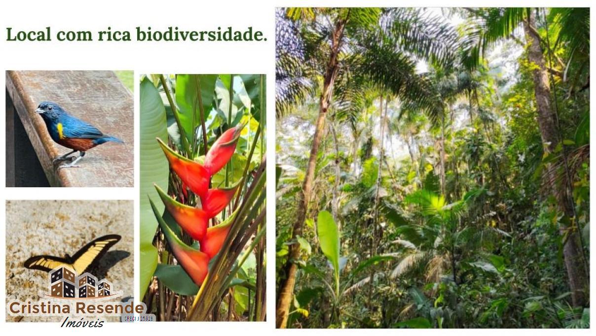 Fazenda-Sítio-Chácara, 7 hectares - Foto 4