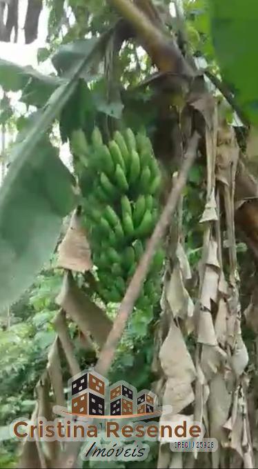 Terreno, 10 hectares - Foto 15