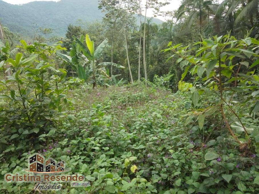 Terreno, 10 hectares - Foto 6