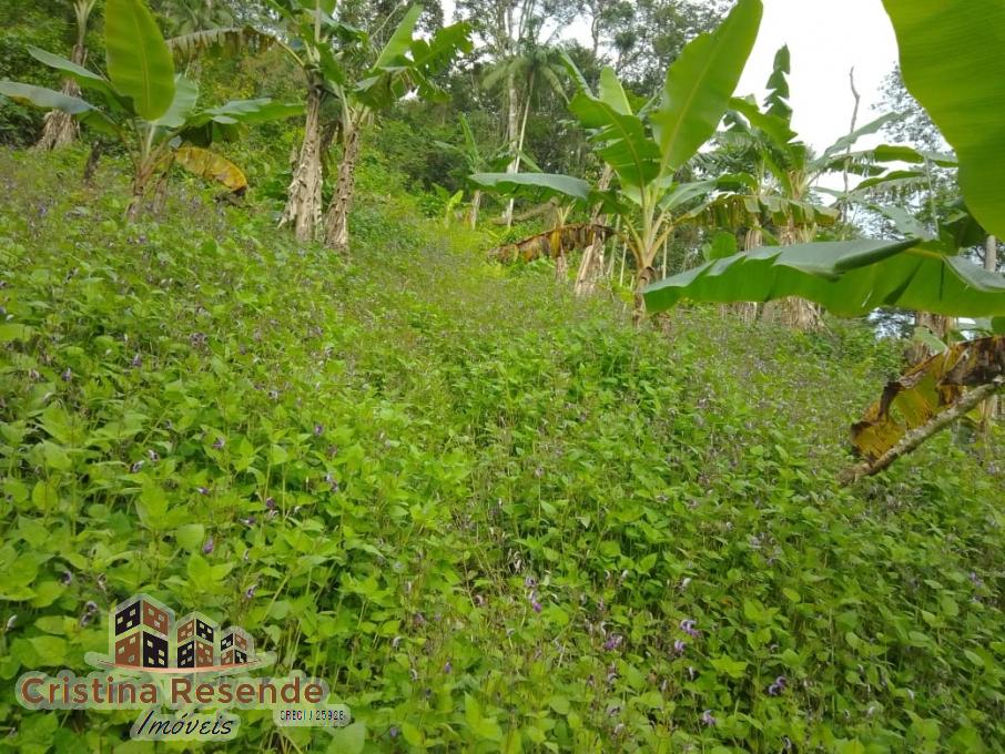 Terreno, 10 hectares - Foto 3