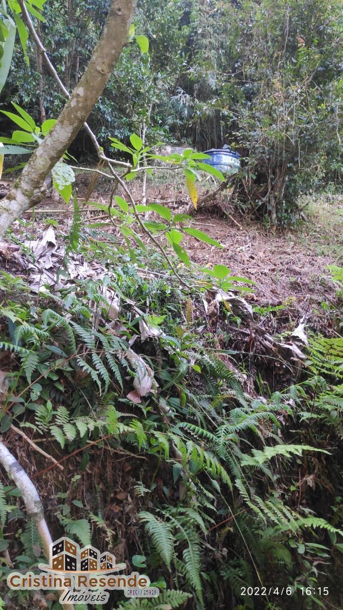 Chácara, 3 quartos, 4793 m² - Foto 26