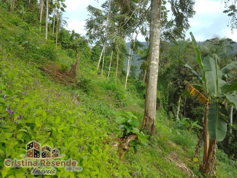 Terreno, 10 hectares - Foto 2