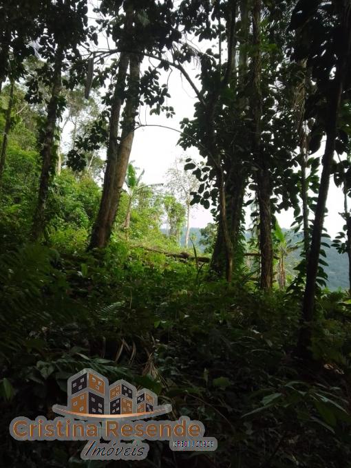 Terreno, 10 hectares - Foto 4