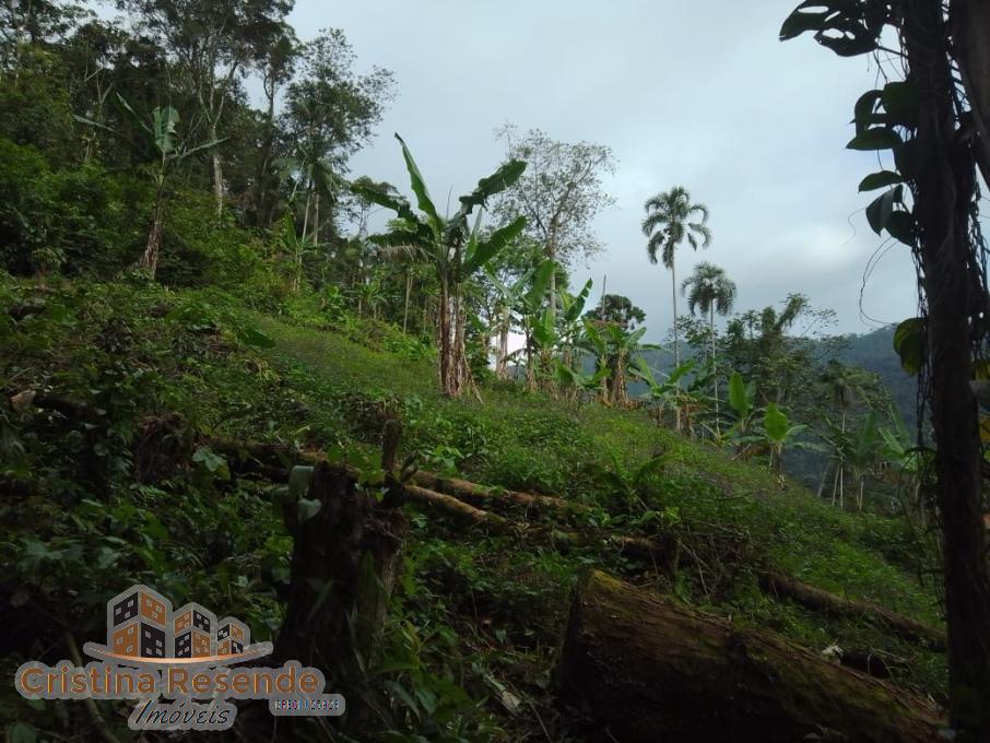 Terreno, 10 hectares - Foto 5