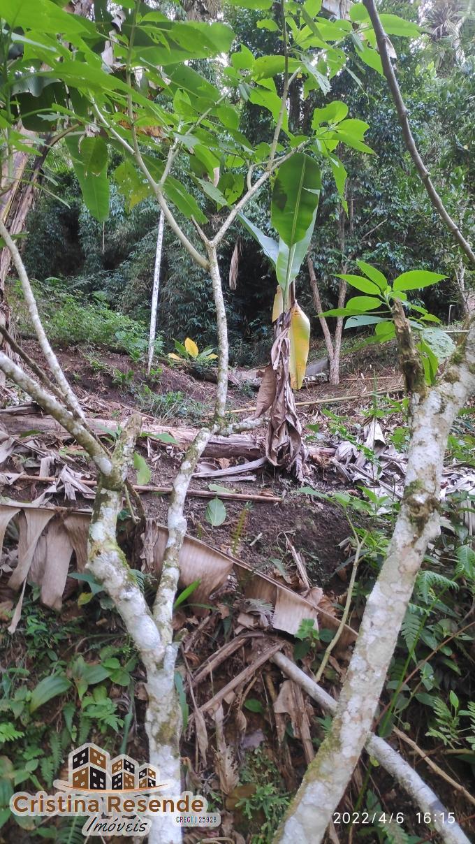 Chácara, 3 quartos, 4793 m² - Foto 28