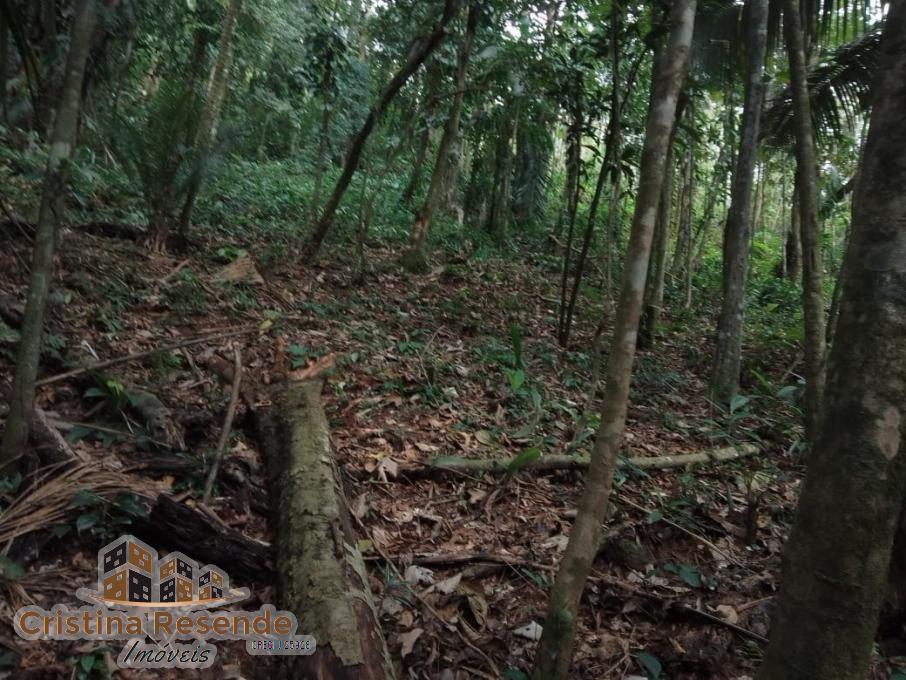 Terreno, 10 hectares - Foto 10