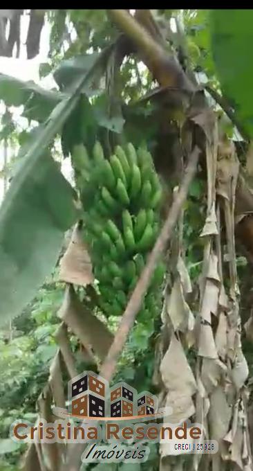 Terreno, 10 hectares - Foto 26