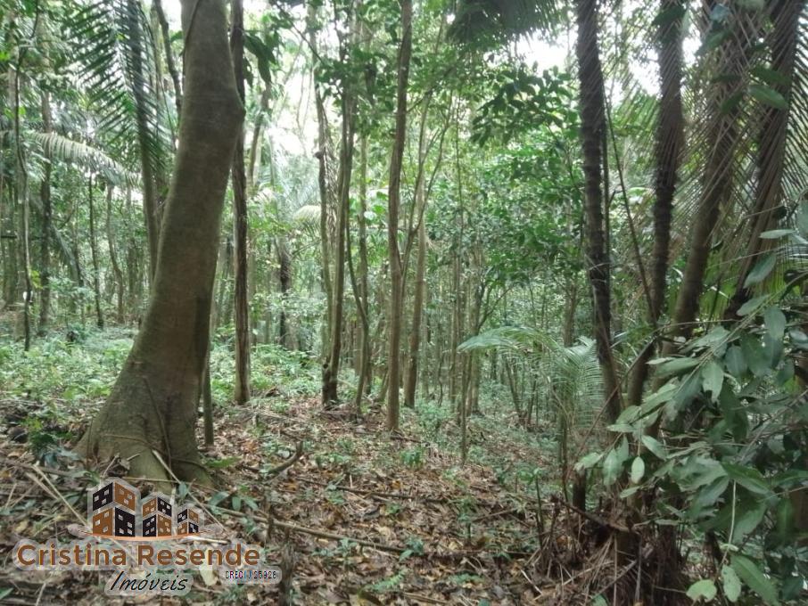 Terreno, 10 hectares - Foto 9