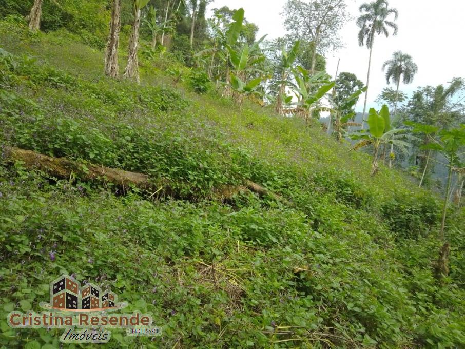 Terreno, 10 hectares - Foto 7