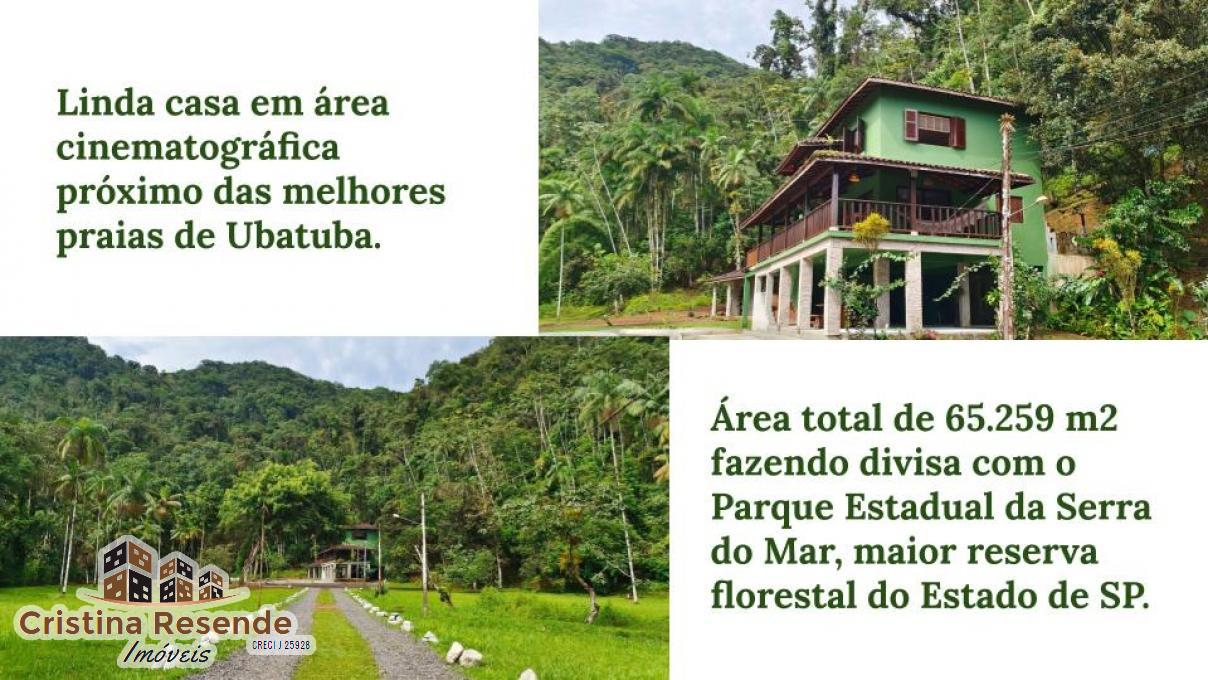 Fazenda-Sítio-Chácara, 7 hectares - Foto 1