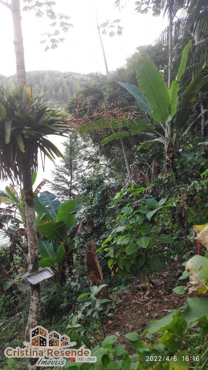 Chácara, 3 quartos, 4793 m² - Foto 32